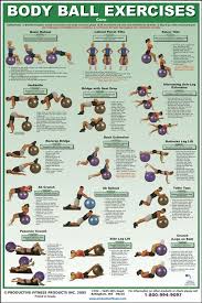 Exercise Charts For Stability Ball Balance Ball Swiss Ball