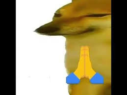 [Image: images?q=tbn:ANd9GcQUH4aMoxyJqrTAFZWwqkA...tNDA&amp;s]