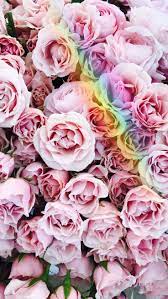 We did not find results for: Schone Pinterest Enchantedinpink Enchantedinpink Pinterest Schone Blumen Hintergrund Iphone Hintergrund Iphone Rosa Hintergrund