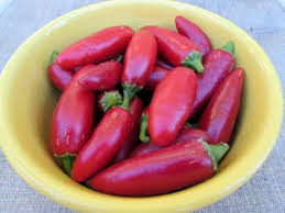 To learn how to dry jalapenos for storing, read on! How To Dehydrate Jalapeno Peppers Brown Thumb Mama