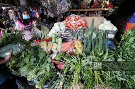 Berikut beberapa tips cara menanam sayuran organik bagi pemula untuk di pekarangan rumah. Kurang Permintaan Ketika Pkp Antara Faktor Pengaruhi Kenaikan Harga Sayur