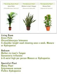 Names Of Indoor Plants Indoor Plants For Better Air Plants Indoor Plants Clean Air Planting Succulents Indoors