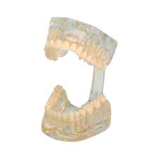 Image result for ochrana chrupu