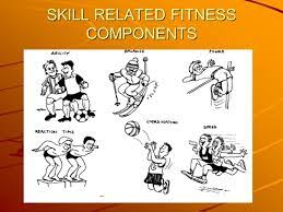 Skills related fitness components of skills related 2. Skill Related Components Of Fitness Physical Ed Quizizz