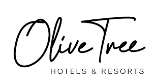 Olive tree, başta eğitim danışmanlığı olmak üzere yönetim danışmanlığı, teknolojik. Olive Tree Holdings Launches Hospitality Group Earmarks 500m For Investment In Hotels