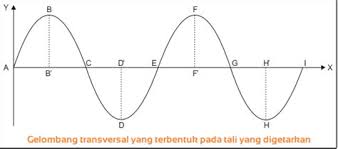 Gelombang dalam perambatannya mempunyai arah dalam perambatannya, begitu juga dengan getaran (ingat pengertian gelombang, bahwa gelombang adalah getaran yang merambat). Gelombang Radio Termasuk Gelombang Transversal Atau Longitudinal Study Belajar Dari Rumah Gelombang Mekanik Transversal Spektrum Gelombang Radio Dimanfaatkan Manusia Untuk Teknologi Radio Televisi Dan Telepon Leilani Kilkenny