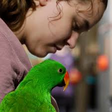 I feel honored to be able to be a voice for these birds and to be a part of  their journey. I think they've helped me just as much as I've helped