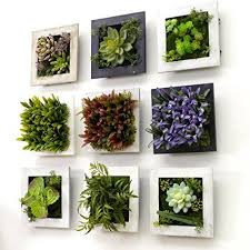 Robot Check Taman Dinding Taman Lumut Kebun