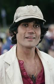 Kate McShane (TV Series 1975– )