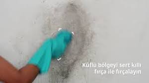 Küf ve rutubet lekeleri pek çoğumuzun korkulu rüyasıdır. Duvardan Kuf Ve Rutubet Lekesi Nasil Temizlenir Cleanipedia Youtube