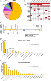 In addition, germline mutations in bap1 have been identified that define a new familial cancer syndrome. Inherited Predisposition To Malignant Mesothelioma And Overall Survival Following Platinum Chemotherapy Pnas