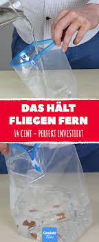 So Haltst Du Dir Fur 14 Cent Alle Fliegen Im Sommer Vom Leibe Hausmittel Gegen Fliegen Fliegen Im Haus Haushaltsreinigungstipps
