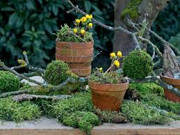 Kugeln Aus Moos Und Zeitungpapier Naturliche Deko Fur Den Garten Garten Deko Gartentipps Garten