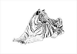 We did not find results for: Free 9 Tiger Coloring Pages In Ai