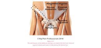 There are actually two types of groin hernia which are femoral and inguinal hernia. Groin Pain Structures And Conditions That Can Contribute To Groin Pain