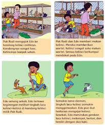 Kalimat utama dalam suatu paragraf. Lengkap Kunci Jawaban Buku Tema 1 Kelas 5 Sd Mi Halaman 11 12 13 14 Ruangan Baca