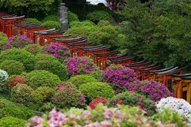 Pin On Gardens
