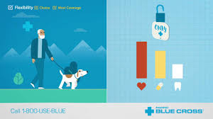 Health insurance bc po box 9035 stn prov gov victoria, bc v8w 9e3. Pacific Blue Cross Dental Health Plan For Bc Residents