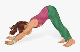 Kids Yoga Downward Dog Hd Png Download Transparent Png Image Pngitem