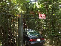 Camino Manolin Gonzalez #BO. ANONES, Naranjito, PR 00719