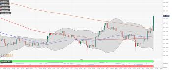 If you have received bch to a btc wallet by mistake, it is possible to recover funds from a bitpay or copay wallet without using bitpay's apps or bitpay's wallet service. Bitcoin 9400 Bitcoin Cash 230 Ethereum 250 Cryptocurrencies Price Prediction European Wrap
