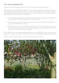 Image result for Pancovia golungensis