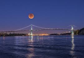 The first lunar eclipse of 2021 is going to happen on may 26. X0tlgkzwuhyz2m