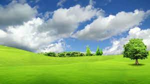 Amazing Nature Background Video Nature Landscape Free Nature Backgrounds Amazing Nature Landscape Background