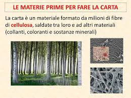 Questo tipo di pizza è condita con ottimo pomodoro unitamente ad aglio tagliato a spicchi e olio extravergine d'oliva. Le Materie Prime Per Fare La Carta Ppt Video Online Scaricare