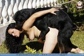 Añadido hace 4 años | tube8.com. Danejones Animal Attraction At Freepornpicss Com