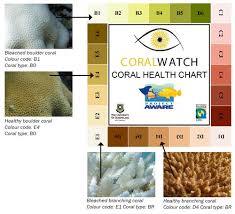 Coral Watch Application Of Color Chart Coral Reefs