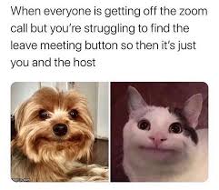 Zoom Humor Funny Coworker Memes Funny Animal Memes Work Memes