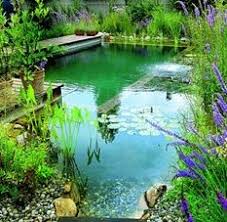 Comment Construire Une Piscine Naturelle
