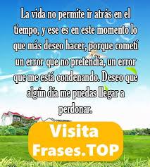 Frases Para Pedir Perdon O Disculpas A Una Novia O O Pareja