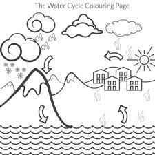 Water cycle and pdf worksheet science court worksheets want to. Water Cycle Coloring Worksheets Teaching Resources Tpt