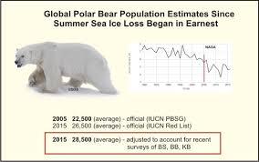 Global Polar Bear Population Larger Than Previous Thought