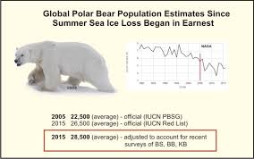 global polar bear population larger than previous thought