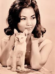 Kieu CHINH : Biography and movies