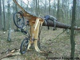 Bicycle Wreck Funny Quotes Quotesgram Grappige Foto S Grappige Plaatjes Grappig