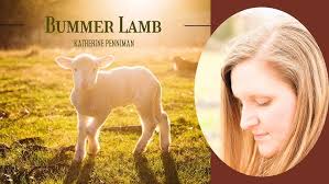 Bummer Lamb Song Story