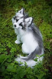 Canadian Marble Fox Isn T It Beautiful Fox Animal Pets Foxs Animals Pets Fox Animal Pets Baby Animals Baby Animals Funny Animals