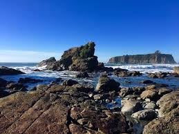 The 10 Best Things To Do Near Chetco Point Park Brookings