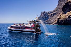 This word may represent the merger of two or more words: Ausflug 4 5 Stunden Los Gigantes Cliffs Masca Sud