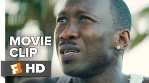 Moonlight Movie CLIP