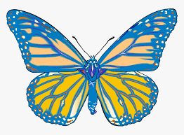 Butterfly clipart black and white filsize: Butterfly Drawing Graphics Graphic Designer Vector Monarch Butterfly Black And White Tattoo Hd Png Download Kindpng