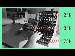 Image result for Volkiella disticha