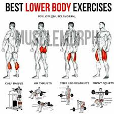 Best Lover Body Exercise Swipe Left For All Exercises Please Follow And Like Workout Important Credit Muscle Lower Body Workout Fitness Body Gym Workouts