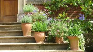 Alternativ kann oleander als hochstamm gezogen werden. Mediterrane Pflanzen Diese Gedeihen Besonders Gut Auf Dem Balkon Oder Im Garten Utopia De