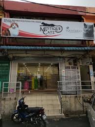 Mystique Catz Home Facebook