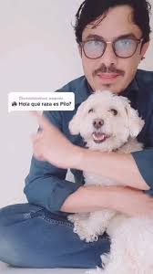 Ricky y Pilo 🇵🇸 (@vazquezalmazan) • Instagram photos and videos